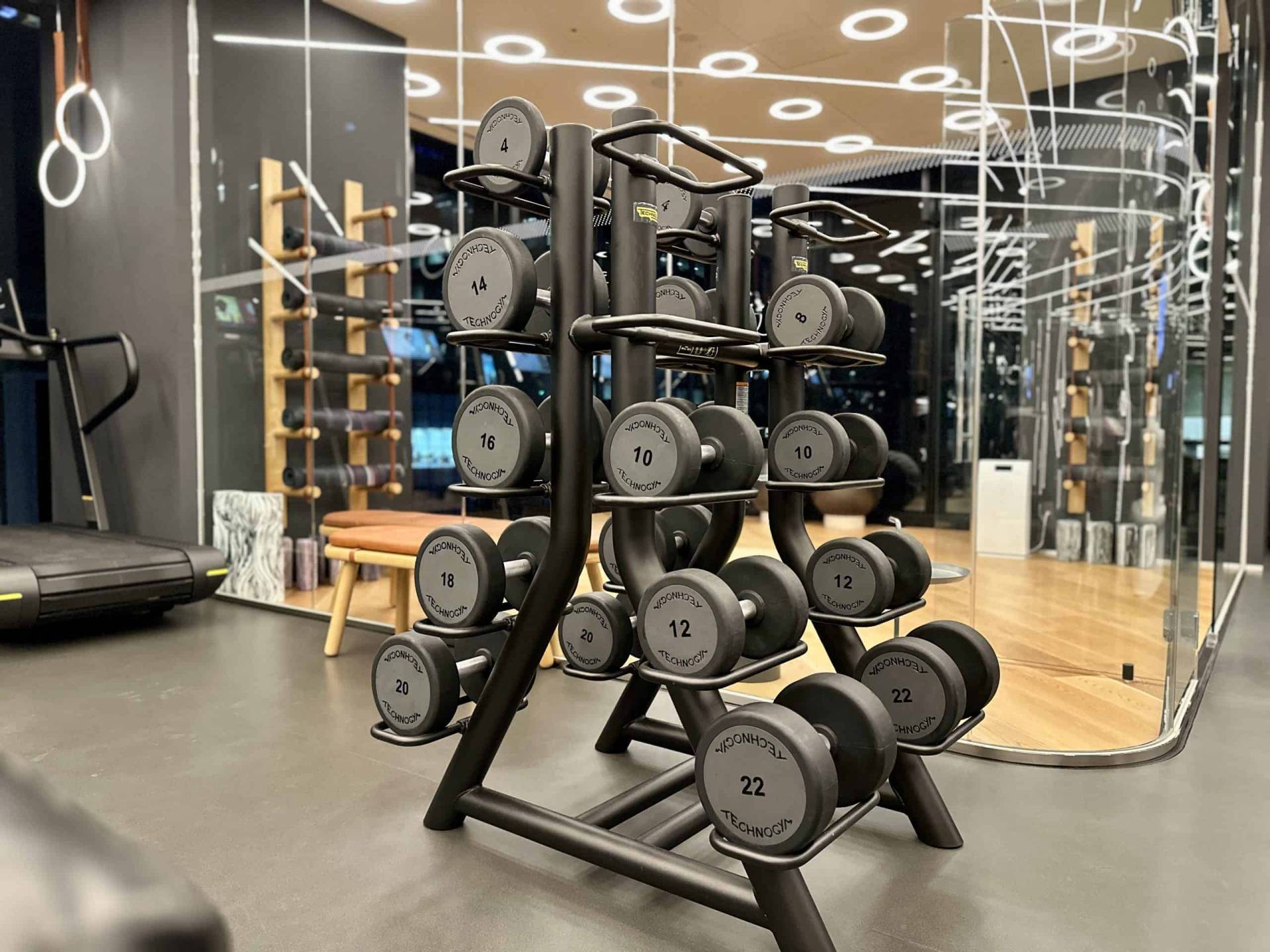 Free Weights Range in Weight free-weights-at-hotel