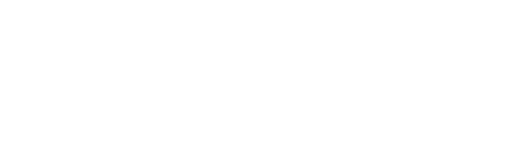 PassportChris Logo
